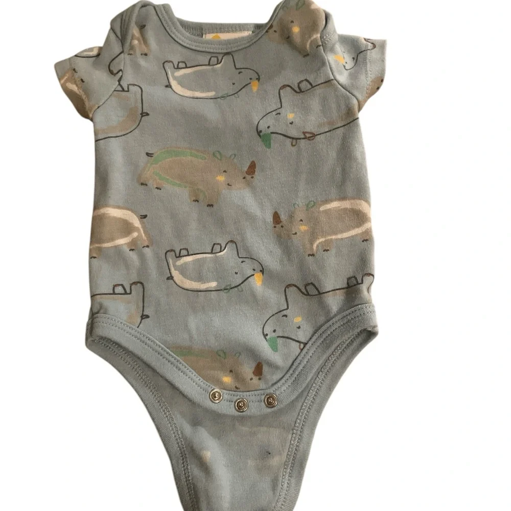 little chicadee bodysuit set